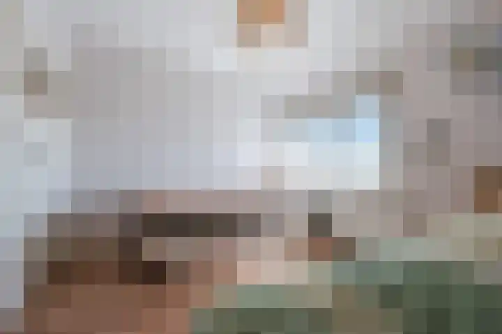 Zeelsterstraat 157 Eindhoven thumbnail 28