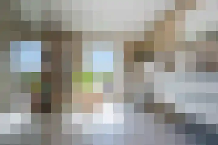 Zeelsterstraat 157 Eindhoven thumbnail 32