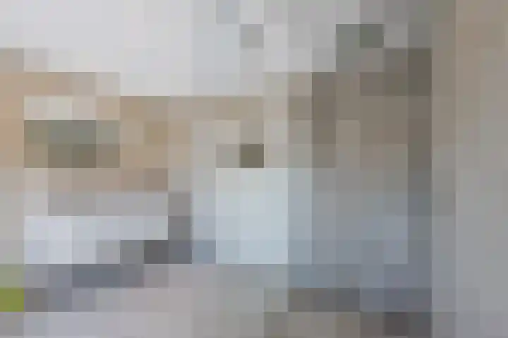 Zeelsterstraat 157 Eindhoven thumbnail 33