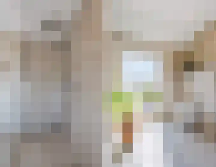 Zeelsterstraat 157 Eindhoven thumbnail 35