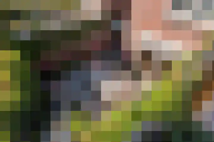 Zeelsterstraat 157 Eindhoven thumbnail 38