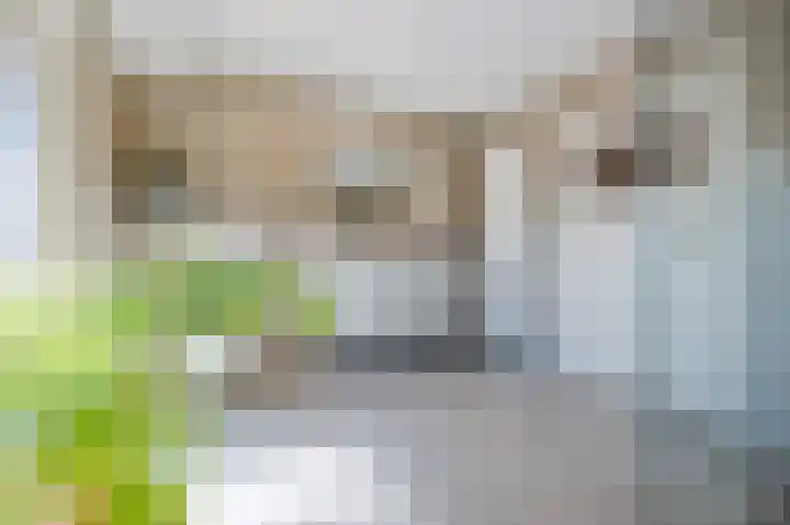 Zeelsterstraat 157 Eindhoven thumbnail 4