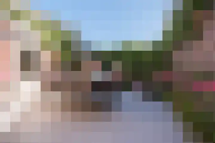 Zeelsterstraat 157 Eindhoven thumbnail 5