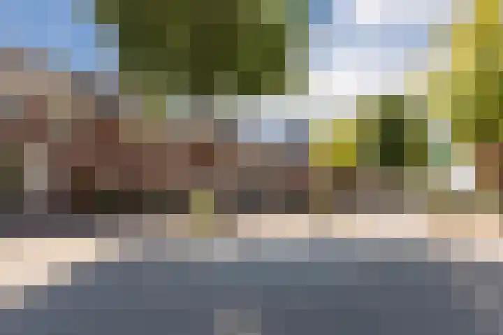Zeelsterstraat 157 Eindhoven thumbnail 51