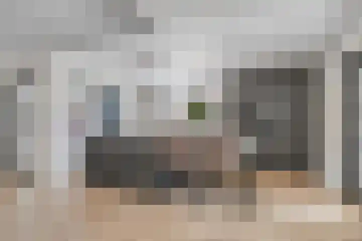 Zeelsterstraat 163 Eindhoven thumbnail 10