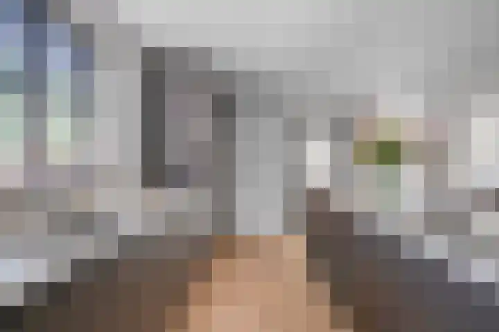 Zeelsterstraat 163 Eindhoven thumbnail 11
