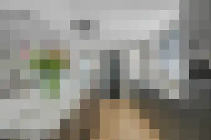 Zeelsterstraat 163 Eindhoven thumbnail 12