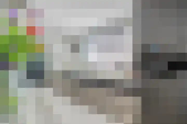 Zeelsterstraat 163 Eindhoven thumbnail 13