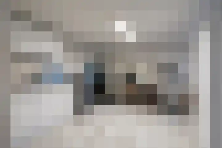 Zeelsterstraat 163 Eindhoven thumbnail 30