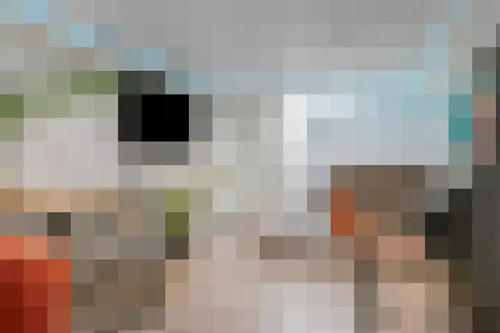 Zeelsterstraat 163 Eindhoven thumbnail 37