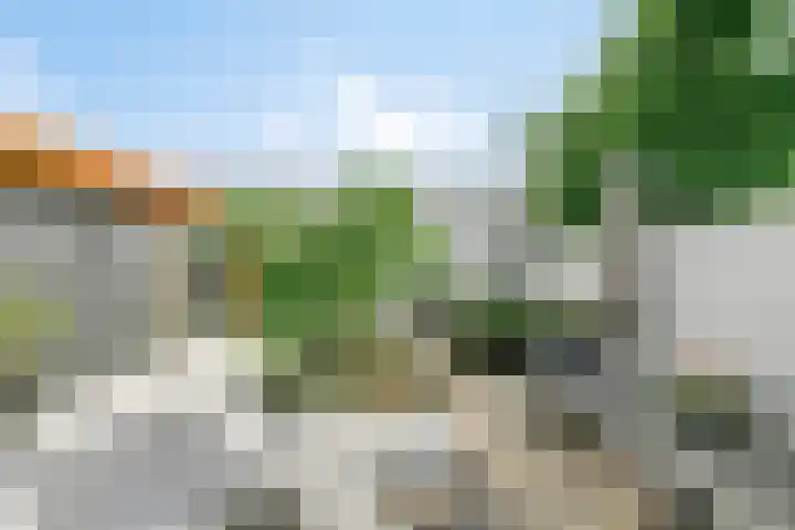 Zeelsterstraat 163 Eindhoven thumbnail 43