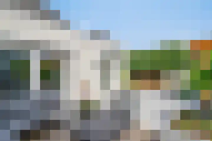 Zeelsterstraat 163 Eindhoven thumbnail 44