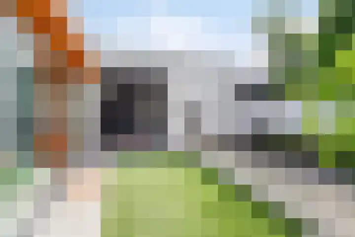 Zeelsterstraat 163 Eindhoven thumbnail 49
