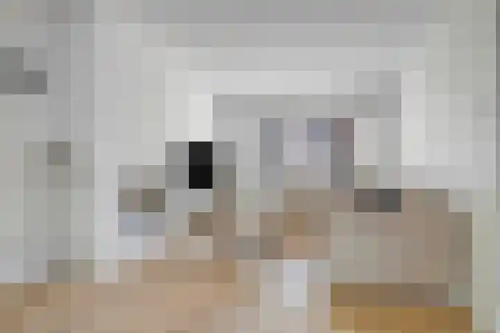 Zeelsterstraat 163 Eindhoven thumbnail 5