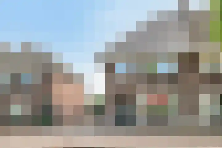 Zeelsterstraat 163 Eindhoven thumbnail 51