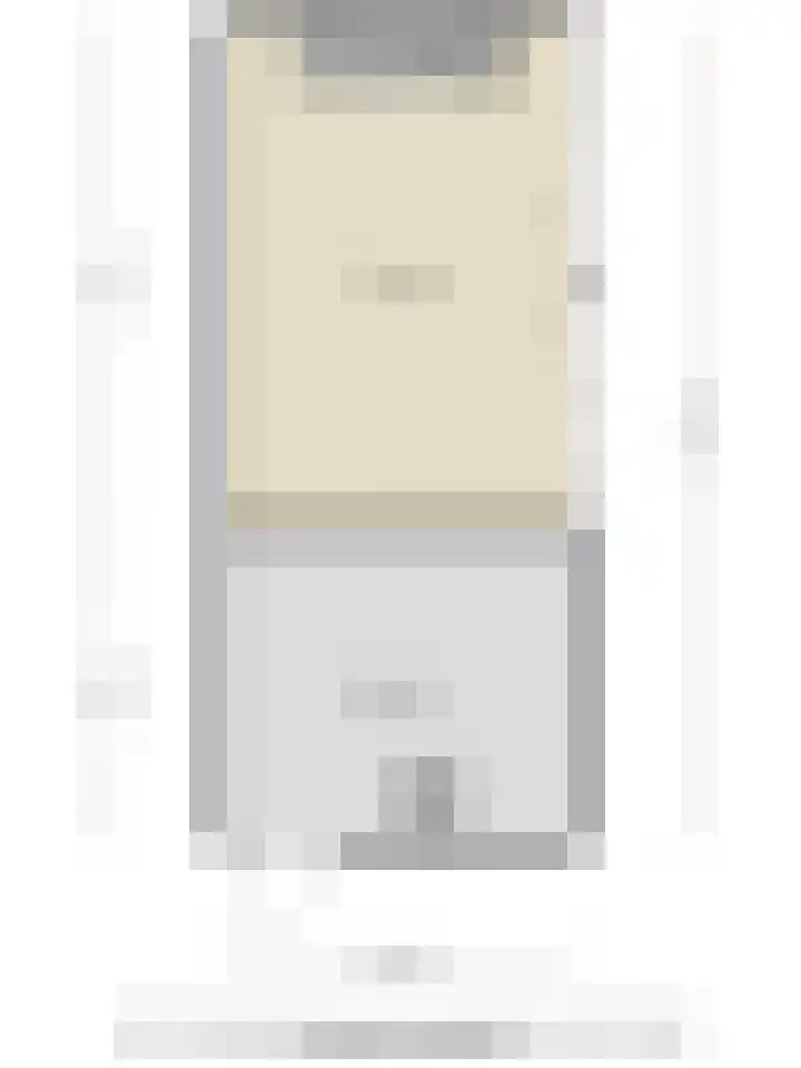 Zeelsterstraat 163 Eindhoven thumbnail 62