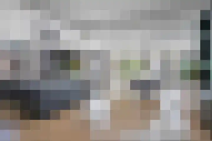 Zeelsterstraat 163 Eindhoven thumbnail 7