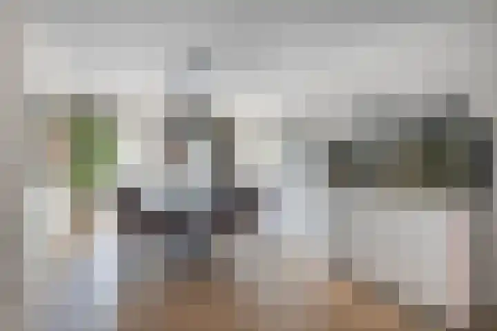 Zeelsterstraat 163 Eindhoven thumbnail 8