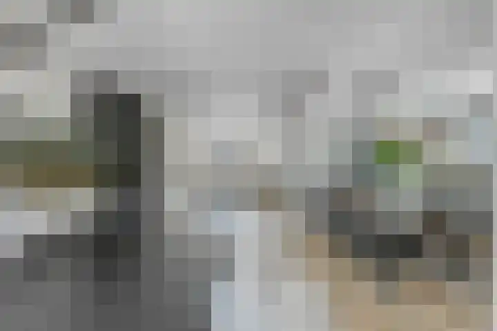 Zeelsterstraat 163 Eindhoven thumbnail 9