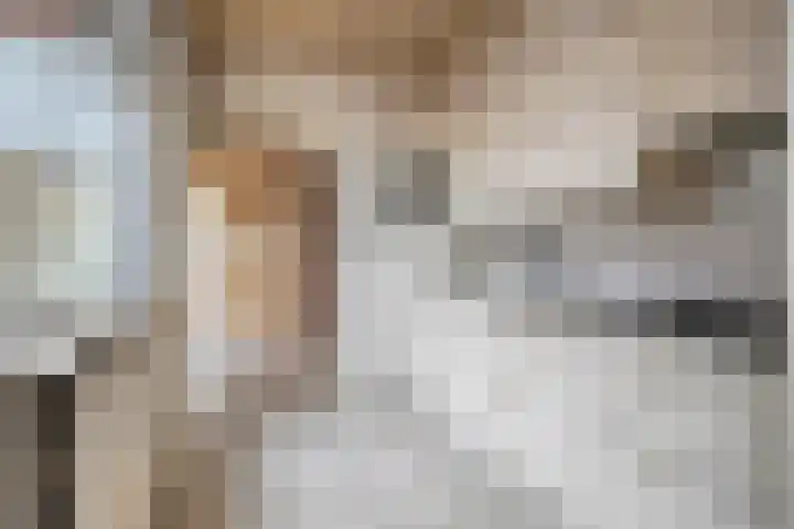 Zeelsterstraat 166 Eindhoven thumbnail 11