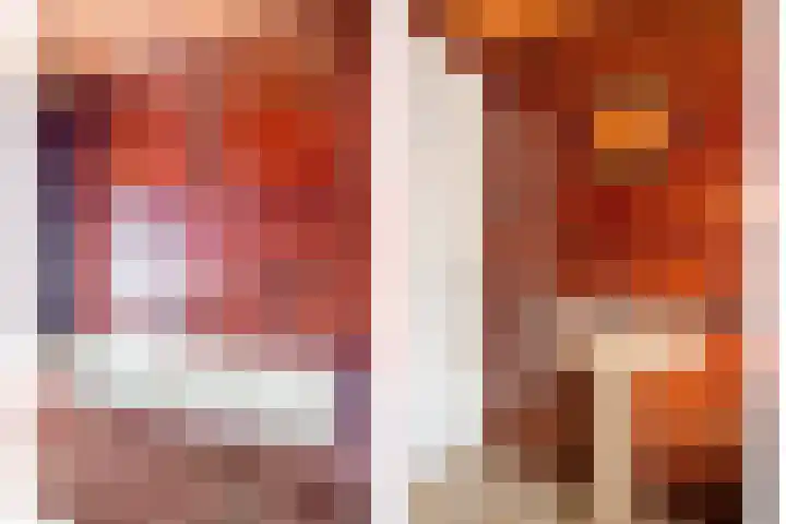 Zeelsterstraat 166 Eindhoven thumbnail 19