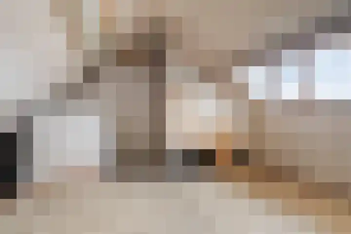 Zeelsterstraat 166 Eindhoven thumbnail 21