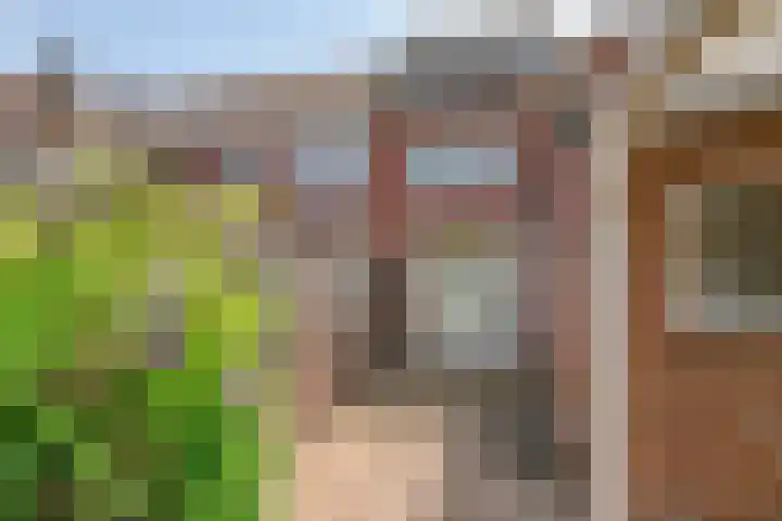 Zeelsterstraat 166 Eindhoven thumbnail 27