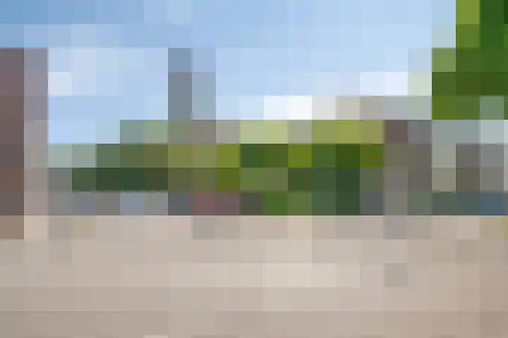 Zeelsterstraat 166 Eindhoven thumbnail 31