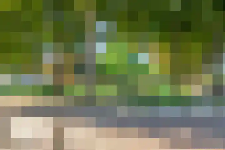 Zeelsterstraat 166 Eindhoven thumbnail 32