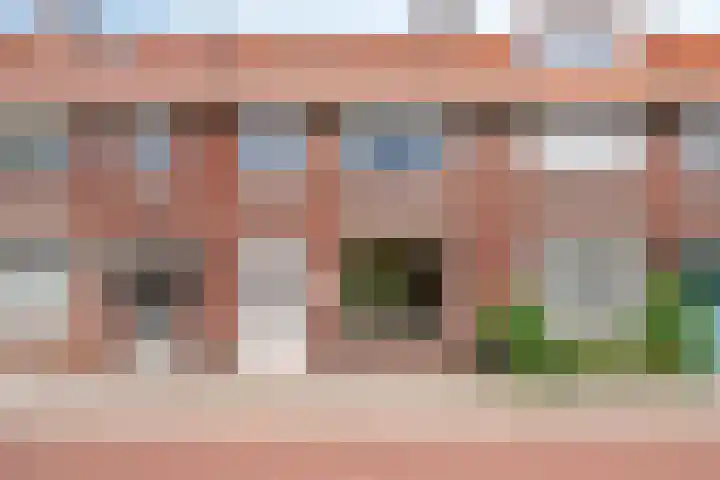 Zeelsterstraat 166 Eindhoven thumbnail 37