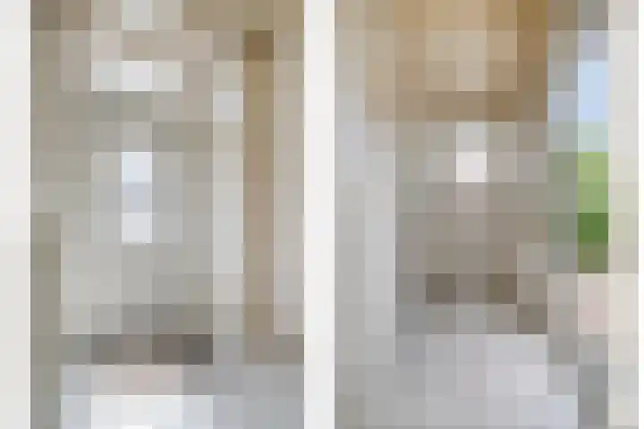 Zeelsterstraat 166 Eindhoven thumbnail 4