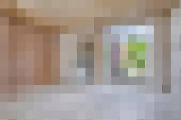 Zeelsterstraat 166 Eindhoven thumbnail 8