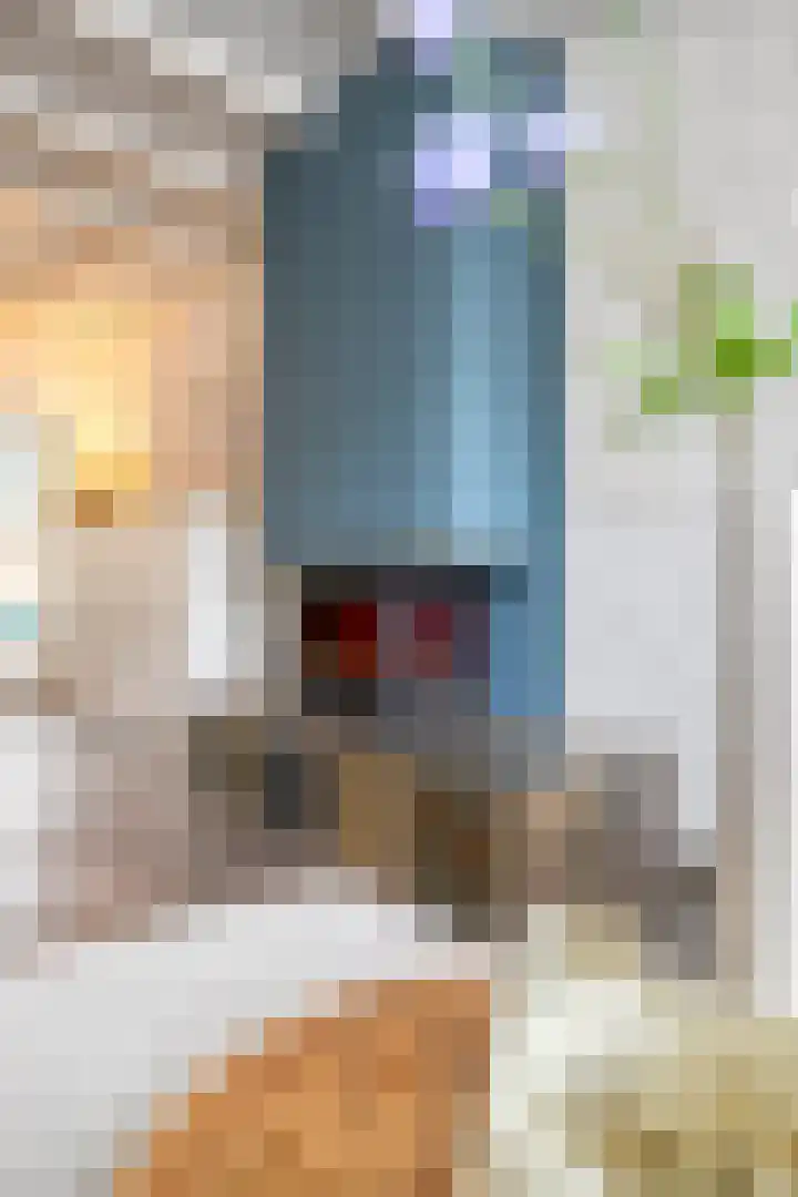 Zeelsterstraat 181 Eindhoven thumbnail 12