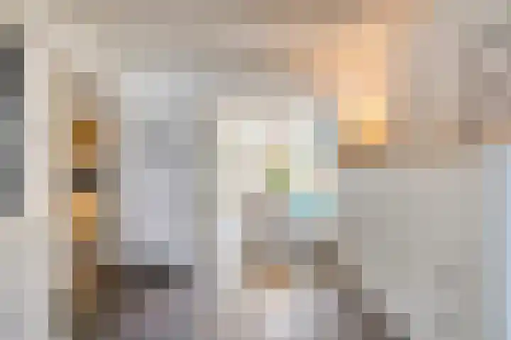 Zeelsterstraat 181 Eindhoven thumbnail 14