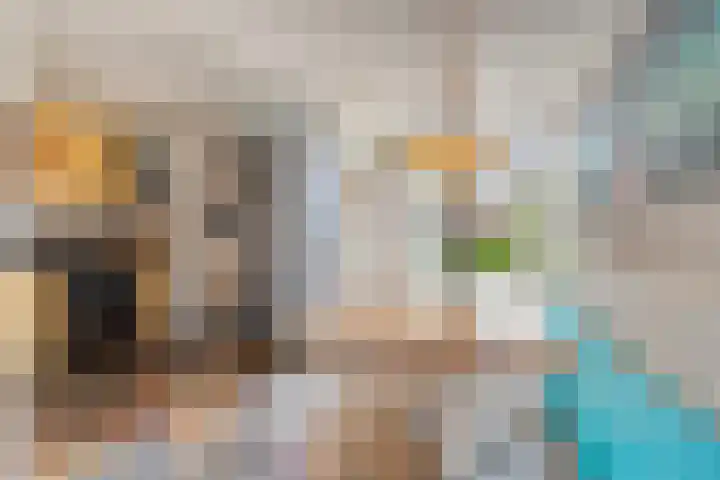 Zeelsterstraat 181 Eindhoven thumbnail 15