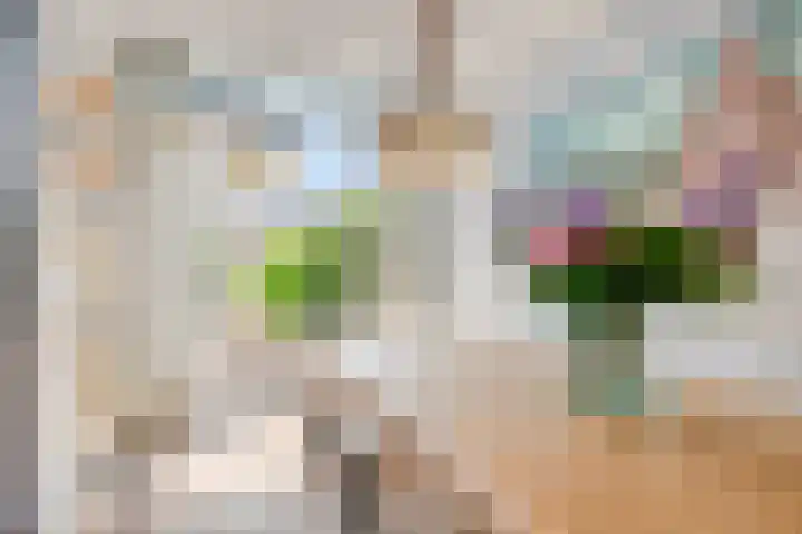 Zeelsterstraat 181 Eindhoven thumbnail 16