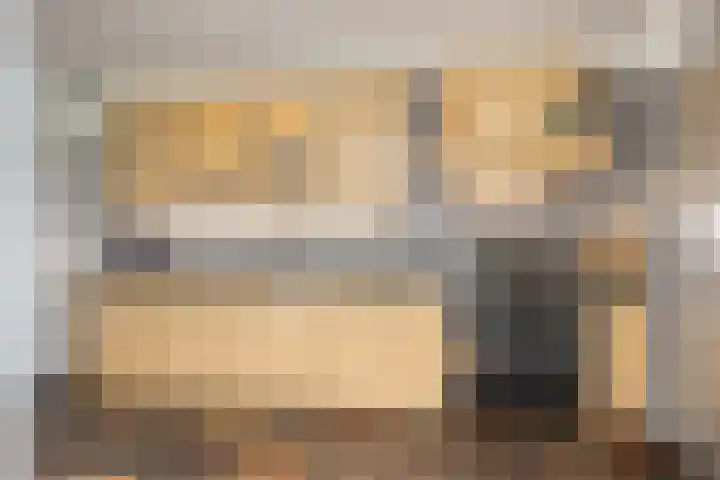 Zeelsterstraat 181 Eindhoven thumbnail 17