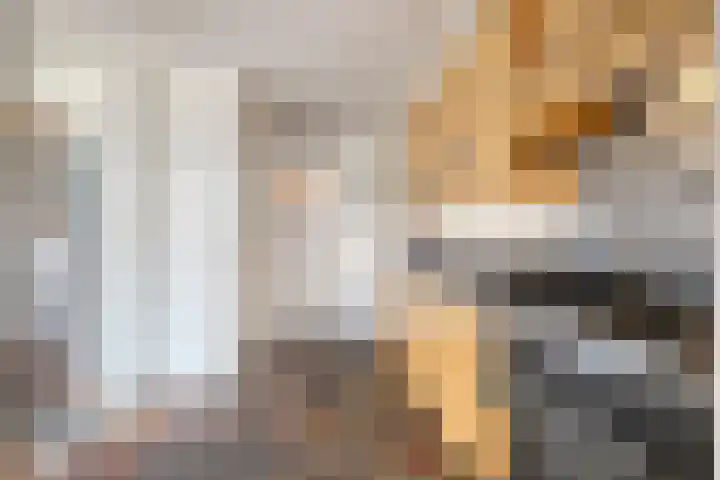Zeelsterstraat 181 Eindhoven thumbnail 18