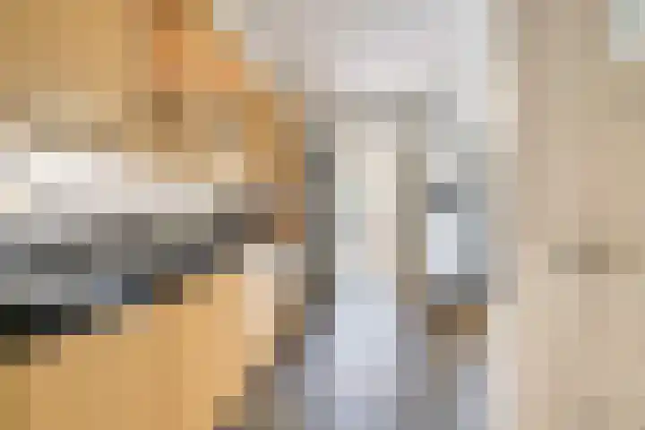 Zeelsterstraat 181 Eindhoven thumbnail 19