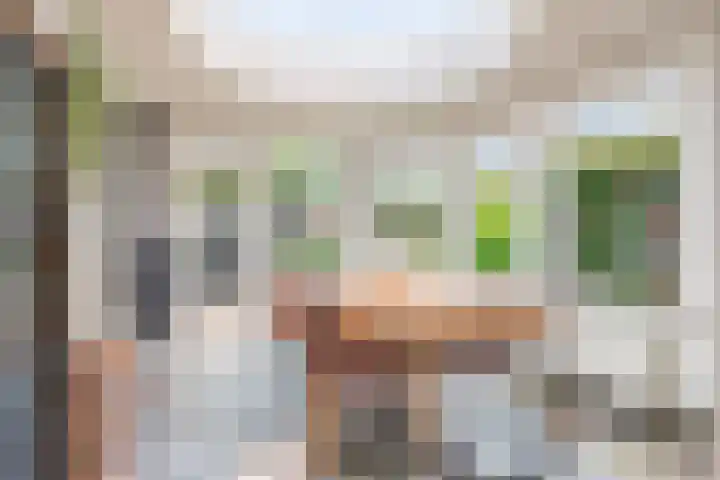 Zeelsterstraat 181 Eindhoven thumbnail 22