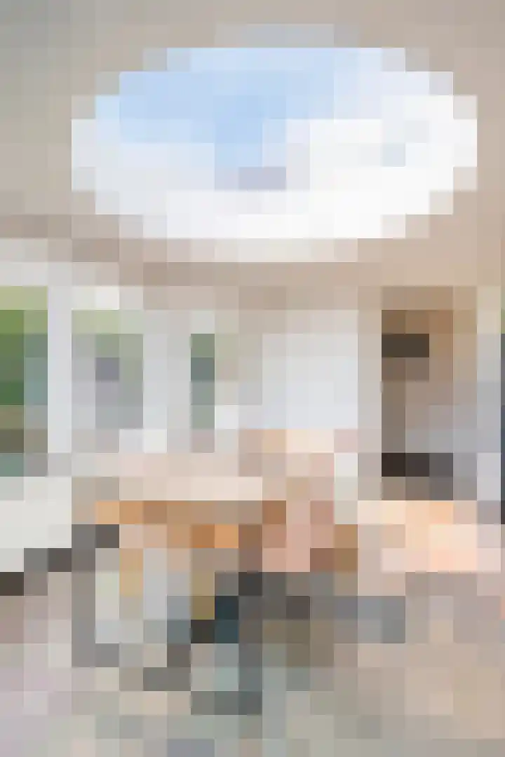 Zeelsterstraat 181 Eindhoven thumbnail 24