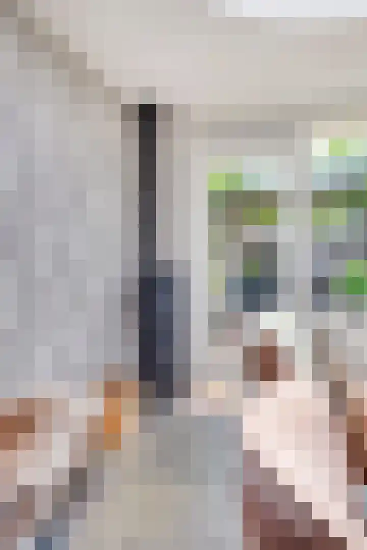 Zeelsterstraat 181 Eindhoven thumbnail 25