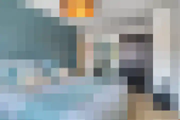 Zeelsterstraat 181 Eindhoven thumbnail 30