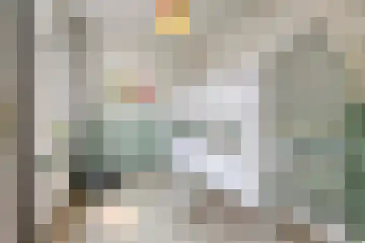 Zeelsterstraat 181 Eindhoven thumbnail 35