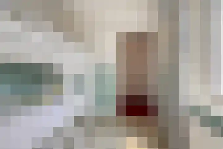 Zeelsterstraat 181 Eindhoven thumbnail 37