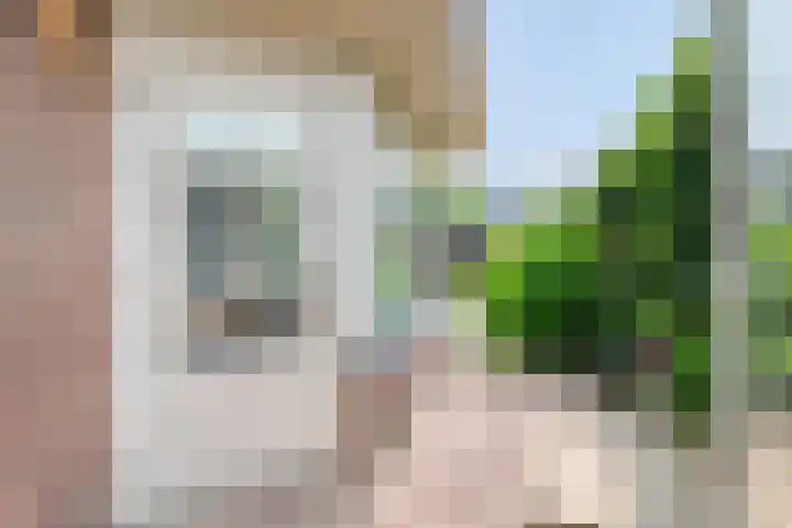 Zeelsterstraat 181 Eindhoven thumbnail 43