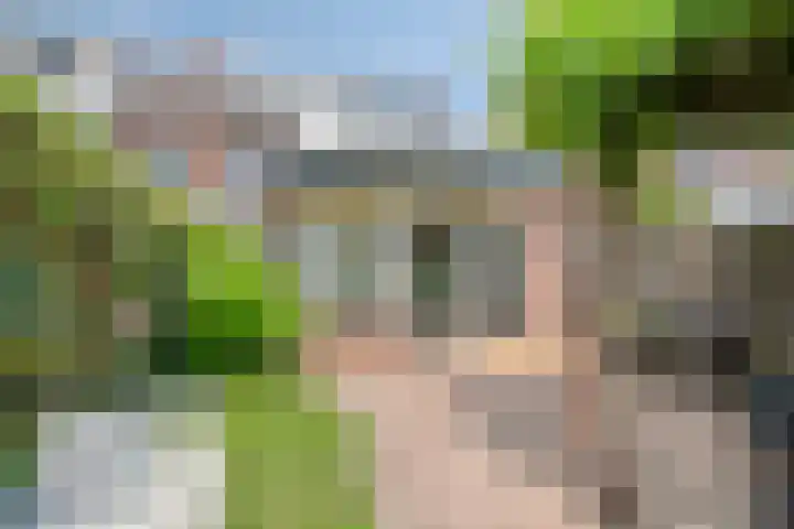 Zeelsterstraat 181 Eindhoven thumbnail 47