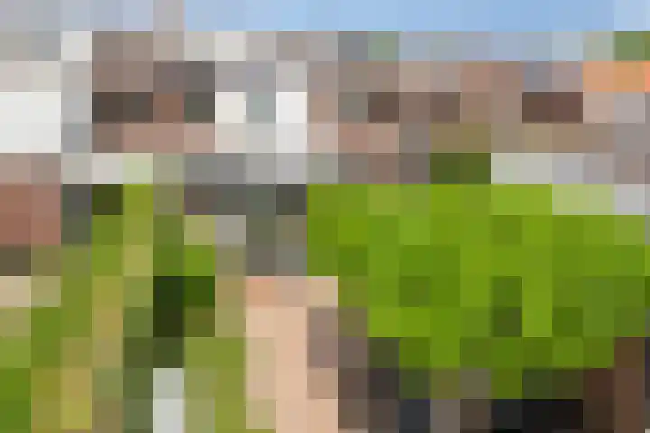 Zeelsterstraat 181 Eindhoven thumbnail 48