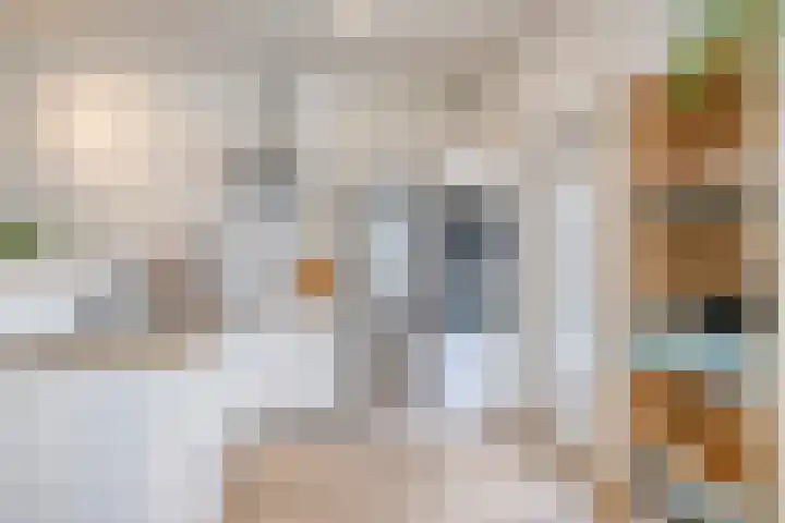 Zeelsterstraat 181 Eindhoven thumbnail 54