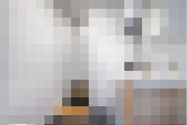 Zeelsterstraat 181 Eindhoven thumbnail 56
